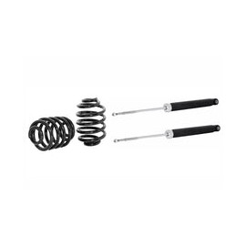 Kit Original Resortes y Amortiguadores Renault Clio 02-10 Traseros Kit 4 Piezas