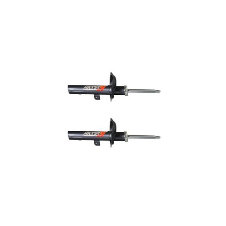 Amortiguadores Deportivos Ag Shox Peugeot 206 1999-2011 Del