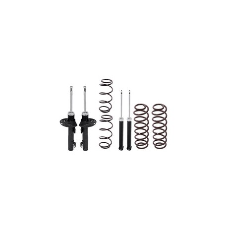 Kit Original Resortes y Amortiguadores Seat Ibiza 03-08