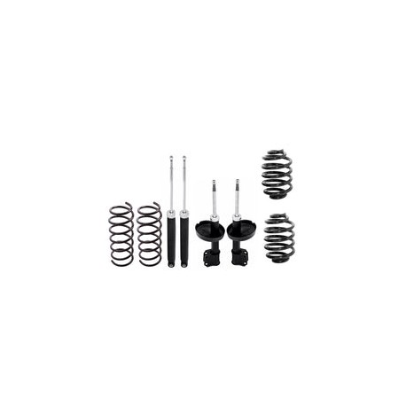 Kit Original Resortes y Amortiguadores Renault Clio 02-10